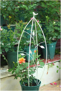 Garden Bird Obelisk Trellis for Climbing Plants Vintage Flower Support Iron Metal Tomatoes Vegetables Flowers Vines (White)