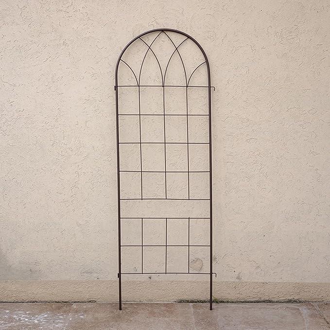 Iron Garden Trellis for Climbing Plants Rustproof Plant Climbing Support Lattice Iron Pipe Support Wall Tall Plant Trellis Fence for Ivy Vines Rose Clematis (Color : One Size : L)