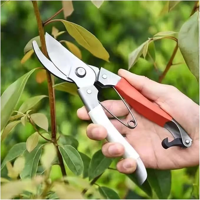 5-Piece Garden Tool Set: Shovel Pruner Hoe Rake