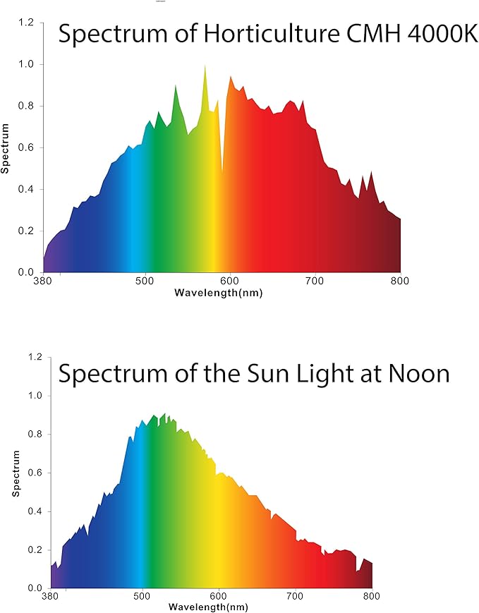 Horticulture Ceramic Metal Halide