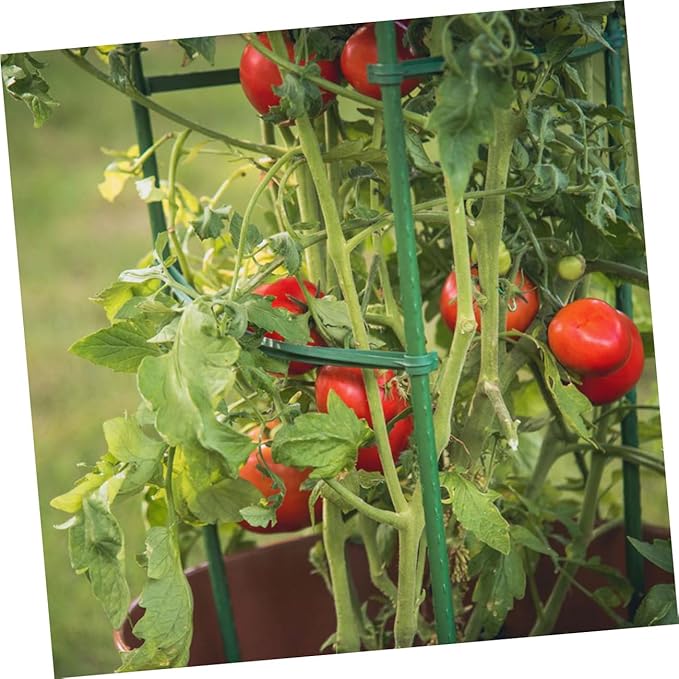 50pcs Garden Plant Climbing Racks Trellis Support for Vines Flowers and Vegetables for Indoor and Outdoor Use