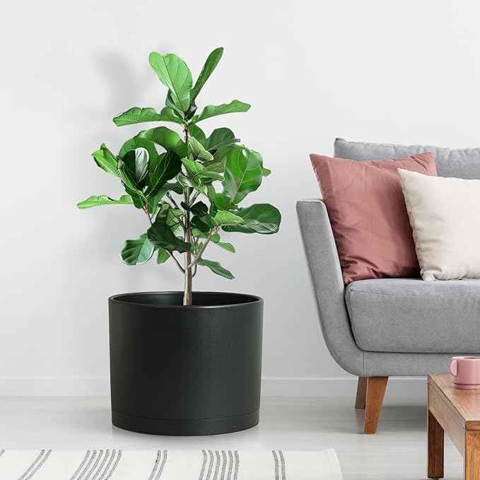 Large Plant Pots Set of 3 – 8 9 10 Indoor Flower Pots with Drainage Holes and Saucers Big Planters for Monstera Fiddle Leaf Fig Snake Plant – 5 Colors