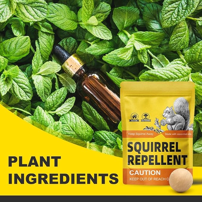 Squirrel Repellent Outdoor Chipmunk Repellent for Garden Attic &amp Bird Feeders Keep Squirrels and Chipmunks Away from Homes Cars &amp Garages 90 Days Protection Safe for Kids &amp Pets – 10