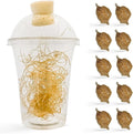 Praying Mantis Ootheca Egg Case with Hatching Habitat Cup (Ten Egg Case) - Stem Education Comes with a Transparent Habitat Cup Egg Case Produces Approximately up to 400 Baby Nymphs (T Sinensis)