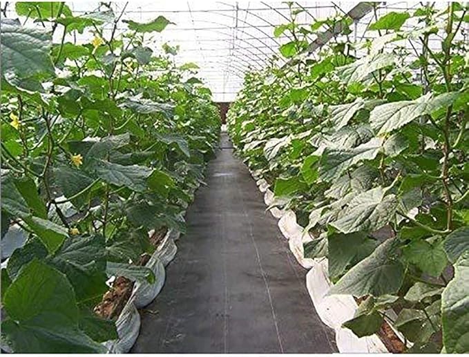 Agfabric Weed Barrier 6.5ftx100ft Landscape Fabric Heavy Duty Weed Barrier Fabric Easy Setup Woven Garden Weed Fabric Landscaping Fabric