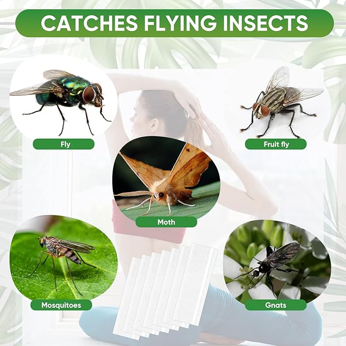 200 Pcs Window Fly Traps for Indoors Fly Paper Sticky Strips Fly Catcher Trap Tape Clear Window Fly Traps Non Toxic Sticky Glue Traps for Home House Waterproof Flys Killer Lady Bug Traps