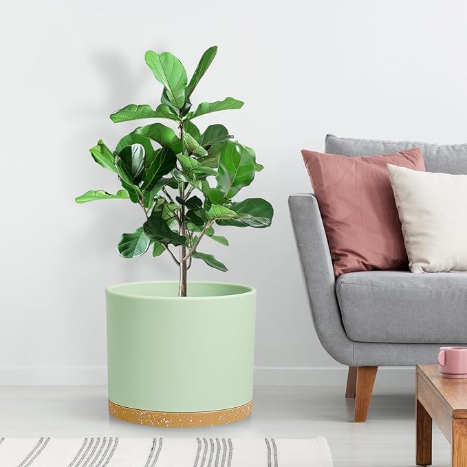 Large Plant Pots Set of 3 – 8 9 10 Indoor Flower Pots with Drainage Holes and Saucers Big Planters for Monstera Fiddle Leaf Fig Snake Plant – 5 Colors