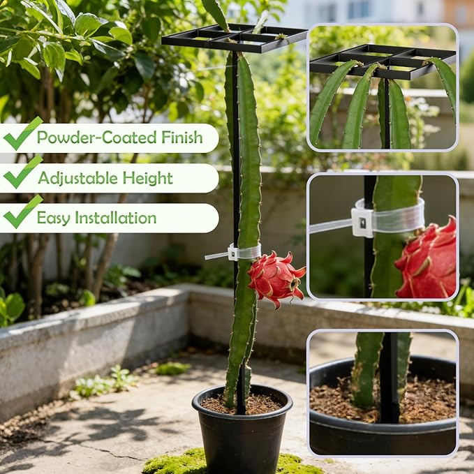 1 Pcs Dragon Fruit Trellis for Climbing Plants Adjustable Metal Plant Trellis Outdoor &amp Indoor Garden Trellis for Potted Plants Vertical Support for Dragon Fruit Cactus - Easy Assembly (1 Pack
