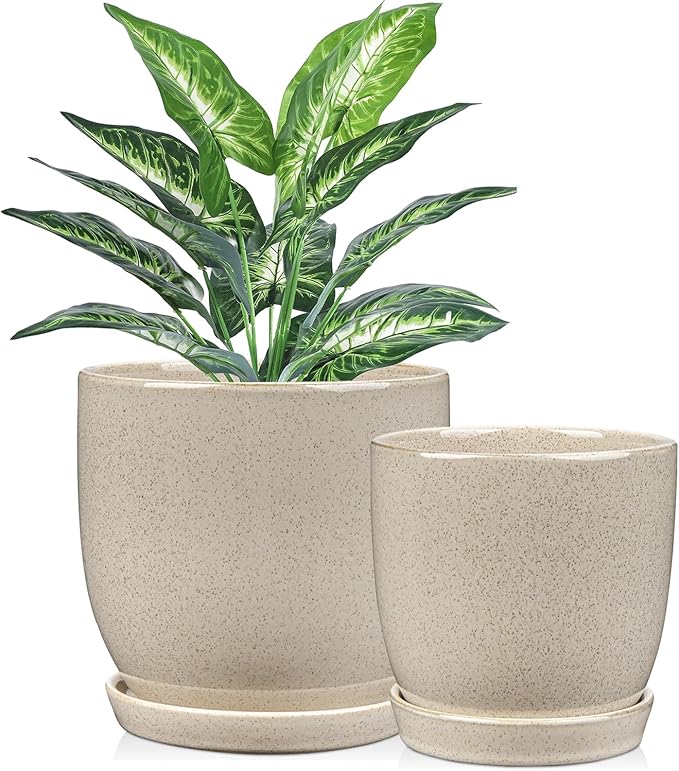 Ceramic Plant Pots 6 Inch + 5 Inch Set of 2 Flower Plants Pot with Drainage Holes and Saucers Tray White Planter Garden Pot for Succulent Cactus Home Decoration Gift Indoor Outdoor