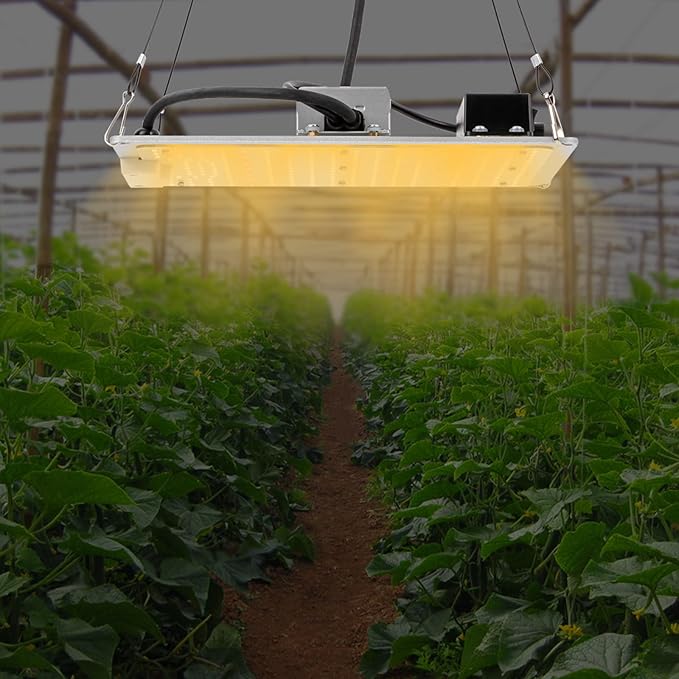 Gdrasuya10 220W LED Grow Light with LM301B LED Light &amp Meanwell ELG Driver Dimmable Full Spectrum Growth Light for 3x3ft Seedling Veg and Bloom Grow