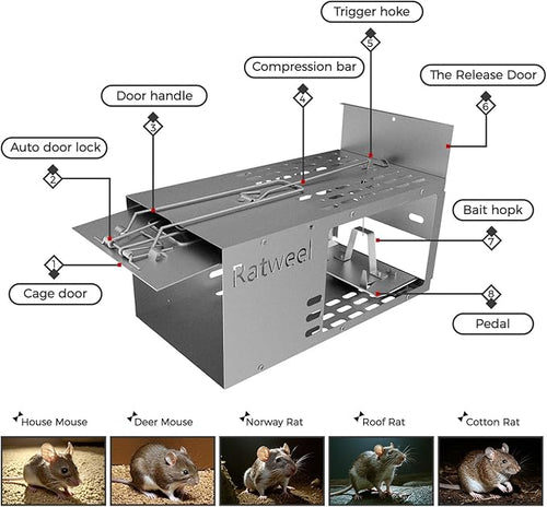 2 Pack Humane Rat Trap Live Mouse Trap Indoor Catch and Release Animal Cage Multi Large Bait Outdoor Reusable Chipmunk Mice Voles Rodent That Work (2)