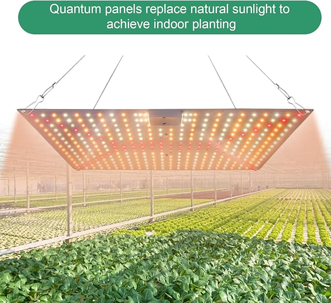 Pl Lamp LED Succulent Fill 50W Full Spectrum Pl Grow Quum Plate Greenhouse Greenhouse Nursery Plng