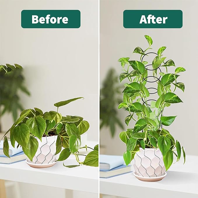 Garvee 12 Pcs Trellis for Climbing Plants Heavy Duty Sturdy Metal Trellis for Potted Plants Rustproof Houseplant Support for Plant Pothos Hoya Ivy Flower