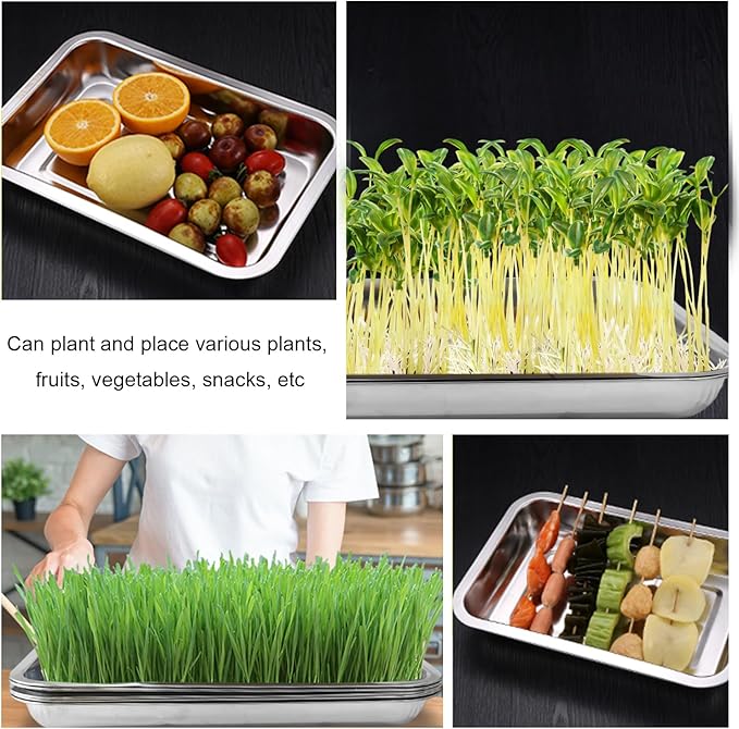 10 Pack Stainless Metal Trays Stainless Steel Seed Starter Carry Tray for Nursery Seedling Pots Water Collection Transplantation (10.63 inch×14.17 inch 1.18 Height)