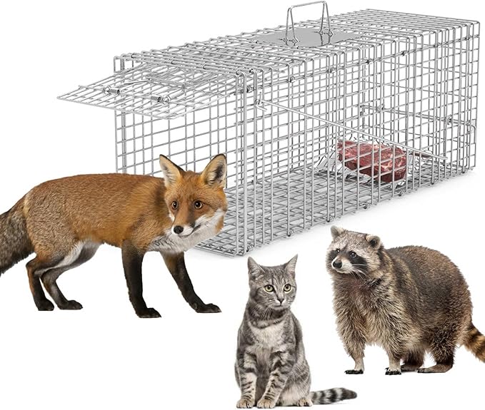 KOCASO Live Animal Trap Cage Large Foldable Galvanized Steel Humane Animal Cage Trap Heavy Duty Metal Cat Trap Cage for Stray Cat Raccoon Groundhog Squirrel Chipmunk Mole Gopher Skunk 31x11x12