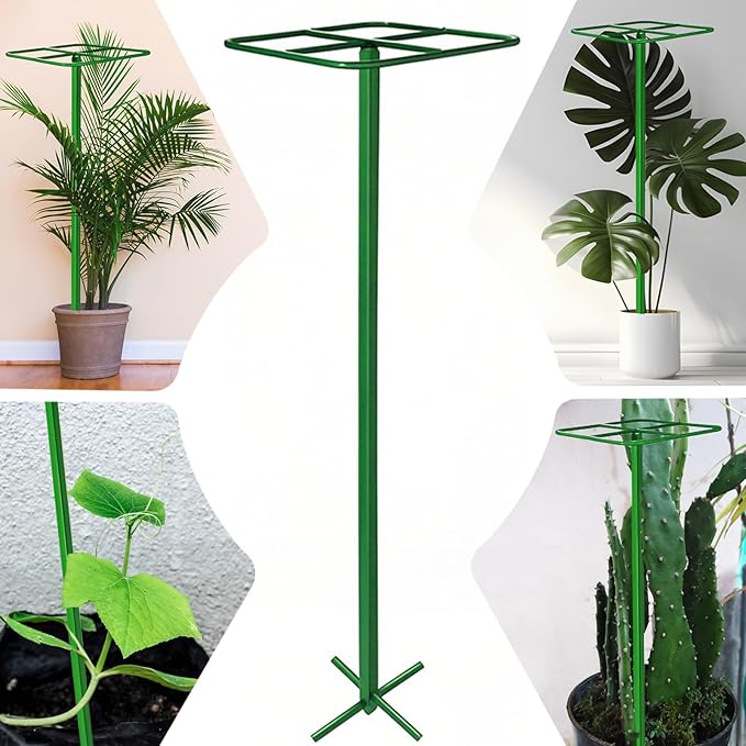2 Pack Adjustable Dragon Fruit Trellis 12x12x50 Dragon Fruit Trellis Metal Climbing Plant Support Frame Cactus Tower Plant Cage for Vertical Gardening Vegetable Garden Outdoor Green