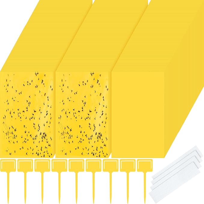 Qualirey 400 Pcs 6 x 8 Inch Sticky Traps for Gnats Dual Sided Fruit Fly Sticky Traps for Indoor and Outdoor Plant with Twist Ties and Plastic Holders for Flying Plant Insect Fungus Gnats (Yellow)