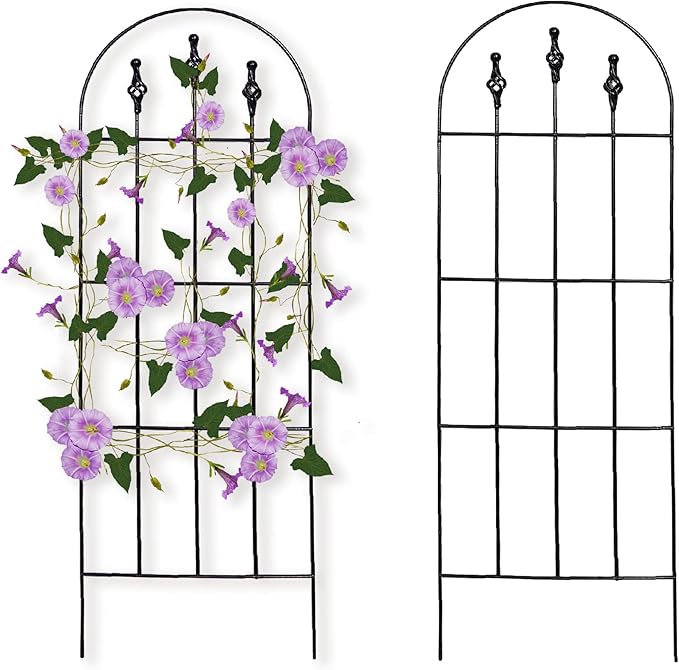 48 H x16 W TrellisBlack Garden Metal Vine Sturdy Trellises for Outdoor Climbing Plants Support Structures B (121cm) 2Pack