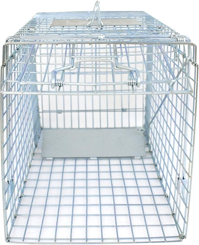 32 x 12 x 12.5 Large Humane Live Animal Trap - 1-Door Solid Steel Catch &amp Release Cage for Raccoons Rabbits Stray Cats Squirrels Groundhogs Opossums Armadillos