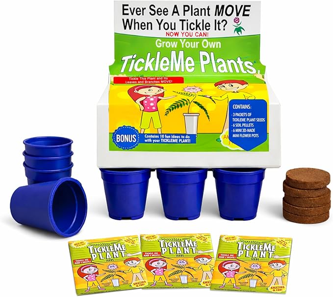 TickleMe Plant Deluxe Family Greenhouse Kit – Grow the Playful Plant that Closes Its Leaves When Tickled! Includes Mini Greenhouse 3 Seed Packets Soil Pellets &amp Pots – Fun Indoor Gardening Gift