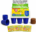 TickleMe Plant Deluxe Family Greenhouse Kit – Grow the Playful Plant that Closes Its Leaves When Tickled! Includes Mini Greenhouse 3 Seed Packets Soil Pellets &amp Pots – Fun Indoor Gardening Gift