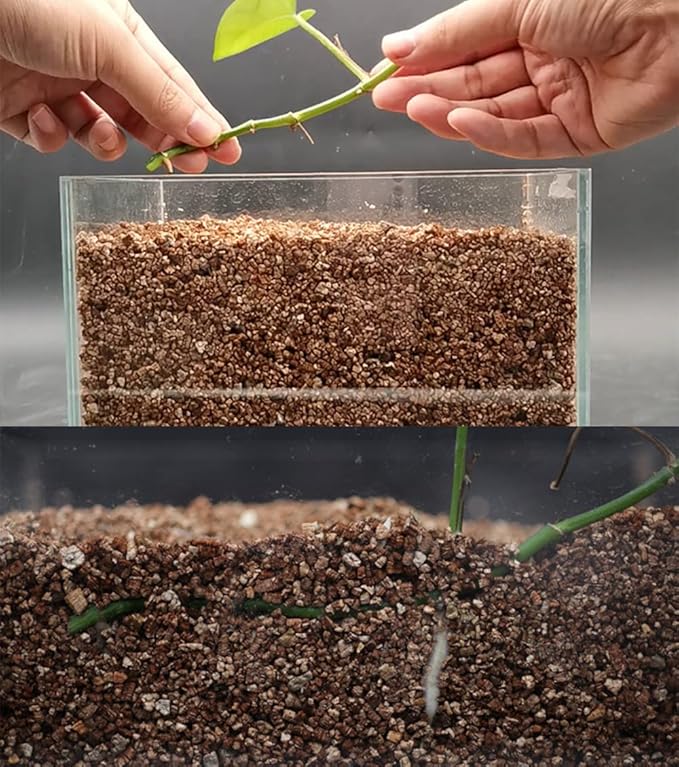 Peat Moss 2qt and Organic Vermiculite 2 qt