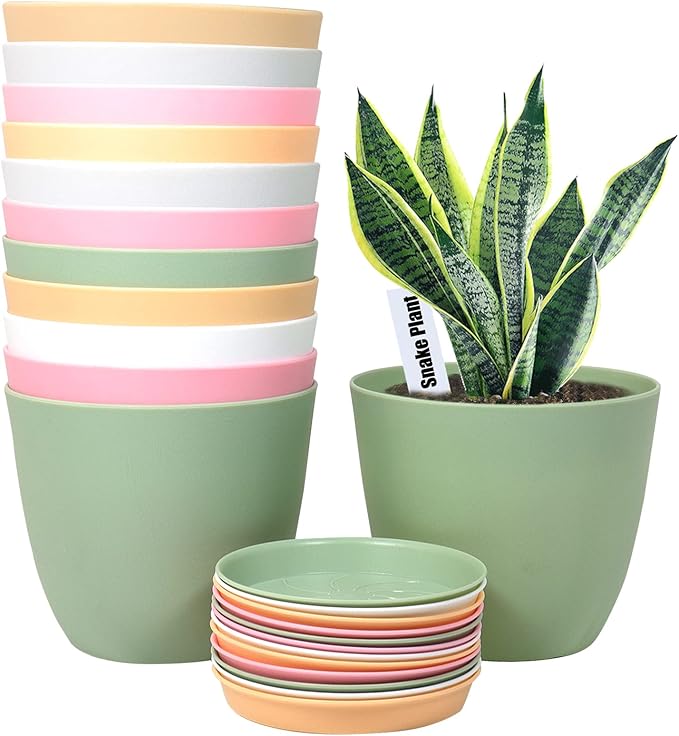 6 Inch Plant Pots 12 Pack Plastic Planters Modern Flower Pot with Drainage Holes and Saucers for All House Plants Herbs Flowers and Seeding Nursery Colorful