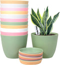 6 Inch Plant Pots 12 Pack Plastic Planters Modern Flower Pot with Drainage Holes and Saucers for All House Plants Herbs Flowers and Seeding Nursery Colorful