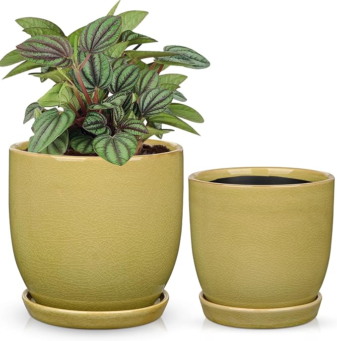 Ceramic Plant Pots 5 Inch + 4 Inch Set of 2 Flower Plants Pot with Drainage Holes and Saucers Tray Planter Garden Pot for Succulent Cactus Home Decoration Gift Indoor Outdoor Green