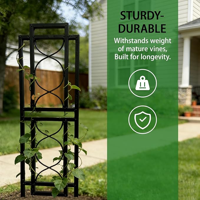 2 Pack 31.5'' Hx8'' W Black Metal Chic Garden Trellis for Climbing Plants - Outdoor Decorative Metal Flower Trellis - Black
