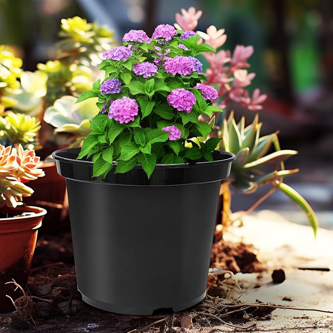 3 Gallon Plastic Nursery Pots 10 Inch Round Plant Pots with Drainage Holes 10 Pack Planting Pot for Outdoor Indoor Plants Gardening Gifts for Women Black
