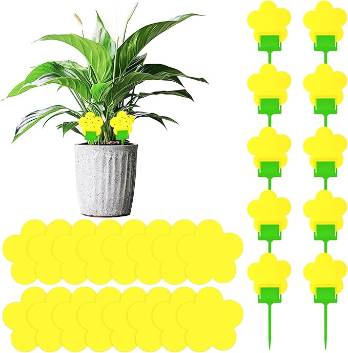 Qualirey 100 Pcs Yellow Flower Shaped Sticky Insect Traps Gnat Sticky Traps Double Sided Bug Killer Fruit Fly Fungus Gnat Catcher with Green Stakes for Indoor Outdoor Plants Kid Pet Safe
