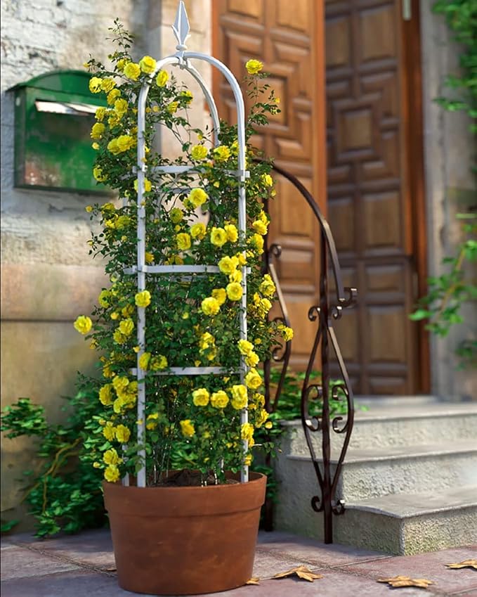 Stylish Garden Obelisk Trellis for Climbing Plants | Plant Support Cage for Vines Flowers Vegetables and Roses | Indoor/Outdoor Use | Easy Assembly (1 Pack) (Size : 12 Dia. x 71 H)