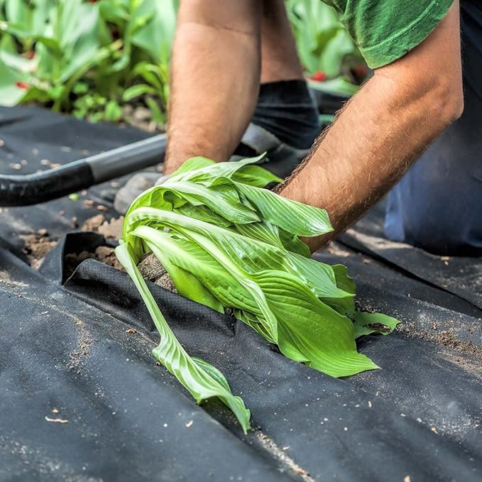 Harrier Weed Control Fabric Membrane - 50gsm/100gsm - Heavy Duty (13ft x 33ft Non-Woven (50gsm) with Pegs)