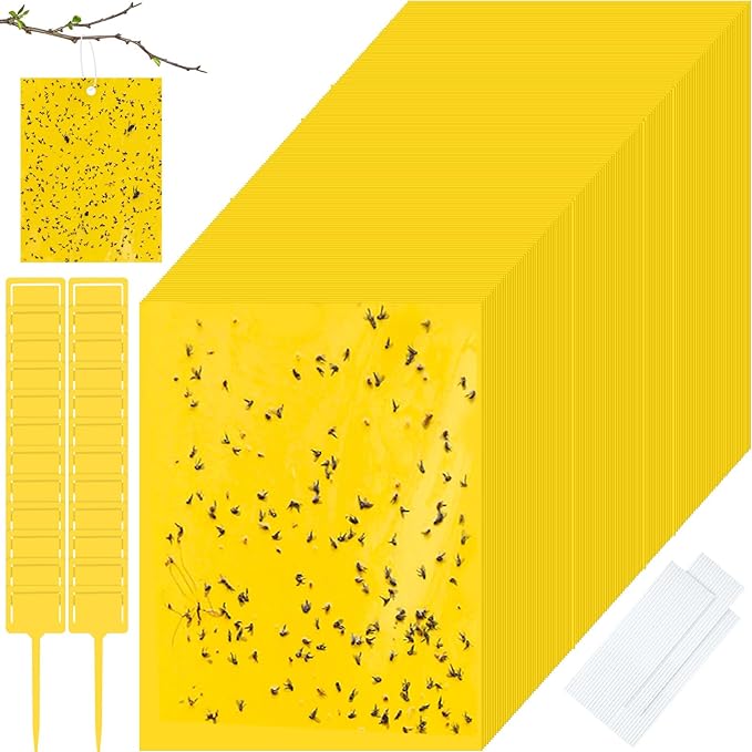 Qualirey 200 Pcs 6 x 8 Inch Sticky Traps for Gnats Dual Sided Fruit Fly Sticky Traps for Indoor and Outdoor Plant with Twist Ties and Plastic Holders for Flying Plant Insect Fungus Gnats (Yellow)