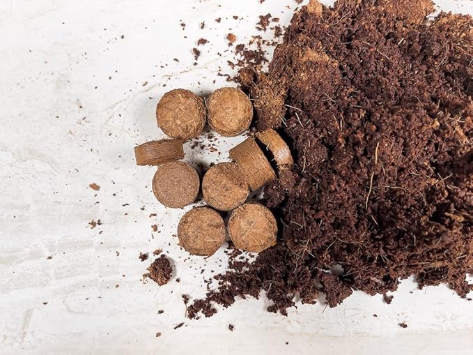 Envelor Coco Coir Seed Starting Pellets 0.8 Inches Dia - 180 Pack Soil Mix for Seed Starter Kits Nursery Pots and Seed Trays Compressed Coconut Fiber Pellets Indoor Plants Potting Soil Coco Discs