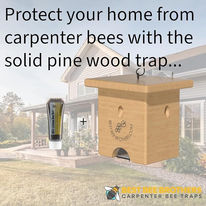 Best Bee Brothers Pine Turbo Trap Professional-Grade Carpenter Bee Trap for Outside with Bee Vault &amp Internal Turbo Funnel 6.3” W x 6” H x 5” D (4 Pack)