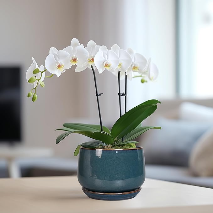 G EPGardening Ceramic Planter 6 Inch - Round Modern Ceramic Pot for Plants with Drainage and Plant Tray Indoor for Flower Apartment Decor Housewarming Gifts New Home Retro Blue