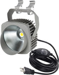 Kiven 10W Plug in LED Indoor/Outdoor Waterproof Spotlight Porch Light with 9.84 FT Plug-in Cord Black Plug in Accent Light with Vinly Siding Hooks for Plants Porch Garden(Cool White)