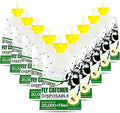 9 Pack Fly Traps Outdoor Disposable Hanging Fly Traps with Natural Pre-Bait Non Toxic Fly Catcher Fly Repellent for Home Backyard Patio &amp Camping Pool Barn Stable Ranche Farm