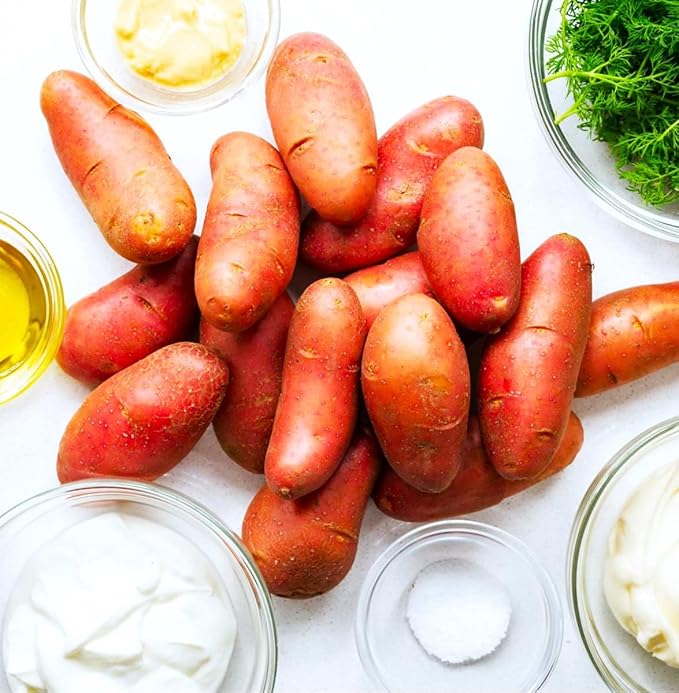 TomorrowSeeds - PRE-Order Now! Ships April 2026 - Red French Fingerling Seed Potatoes Seeds - 2 Pounds - for 2026 Planting Certified for Growers Organic Red Skinned Tuber Garden Growing Planting