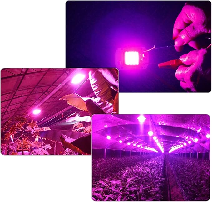 Landscape Lights 1pc LED Grow Light COB Chip Full Spectrum Phyto Lamp Diode Aquarium Plant Light Led Matrix 220V 110V 20W 30W 50W 70W Grow Light LED Street Lamp