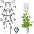 Garden Trellis - Metal Climbing Plants Garden Support | Pothos Stakes - for Indoor Outdoor Balcony Vines Pothos Monstera Ivy Clematis