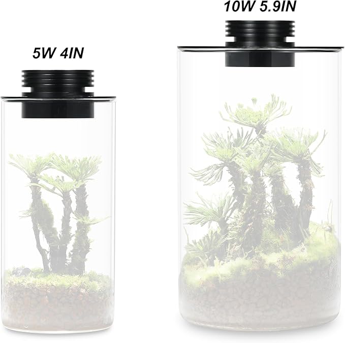 Glass Terrarium Plant Growing Lamp for Vases Up to 4 Inches in Diameter Light with Timer Auto On/Off Indoor Plant Growth Succulent Miniature Gardening Landscape (5W 4IN)