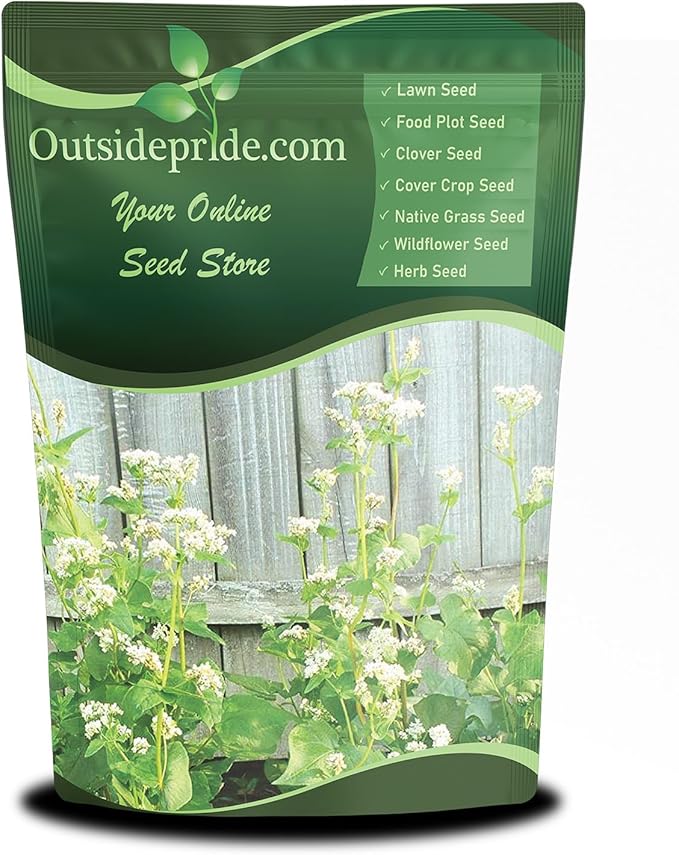 Outsidepride Buckwheat Seeds - 10lbs Annual Fast-Growing Easy to Grow Buckwheat Cover Crop Seeds for Green Manure Bee Pasture &amp Pollinators Wildlife Habitat Soil Improvement and Erosion Cont