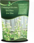 Outsidepride Buckwheat Seeds - 10lbs Annual Fast-Growing Easy to Grow Buckwheat Cover Crop Seeds for Green Manure Bee Pasture &amp Pollinators Wildlife Habitat Soil Improvement and Erosion Cont