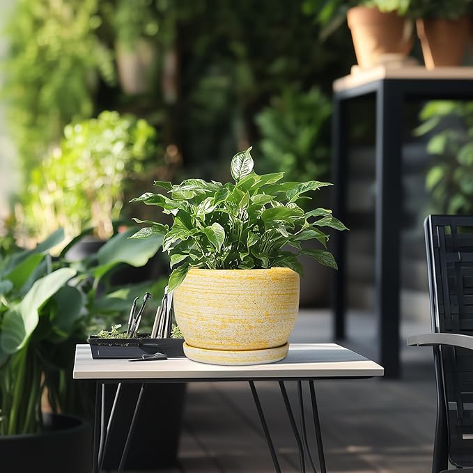 SQOWL Ceramic Flower Pots - 8 inch Plant Pot Indoor with Drainage Hole and Saucer Modern Ceramic Planter Outdoor Round Decorative Planter Living Room Home Decor Gifts for Plant Lovers Yellow