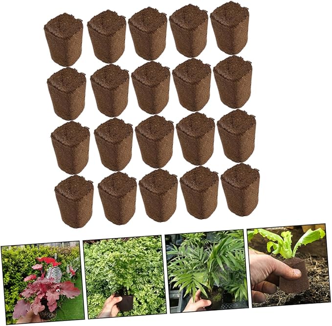 GANAZONO 60pcs Plant Starter Cubes Containers Plant Starter Plugs Potting Soil Peat Moss Blocks Fertilizer Nutrient Blocks