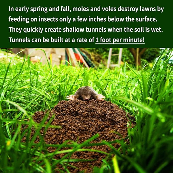 Nature's MACE Mole and Vole MACE Mole Deterrent for Yard Mole Repellent for Lawns Keep Moles Out of Garden Castor Oil Granules Vole Repellent Outdoor Plant &amp Pet Safe 22 lb Bag 17600 Sq F