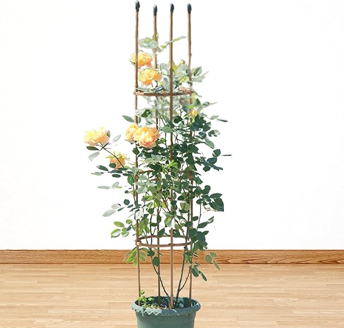 Trellis Climbing Plants 1 PC Thick Plastic-Coated Steel Plant Support Multifunctional Anti-Rust Outdoor Trellis Garden Flower Screen Cucumber Ivy Rose Grape Pea B Lackberry Vine W15*H90CM